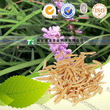 Herb Medicine Radix Ophiopogonis Ophiopogon Japonicus